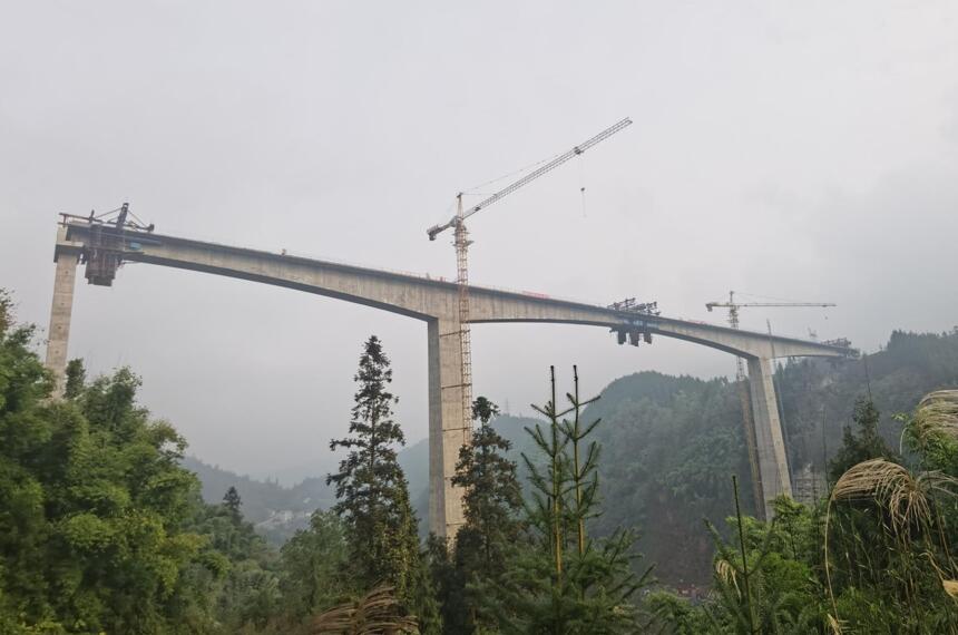 1668763291437938.jpg 1.jpg